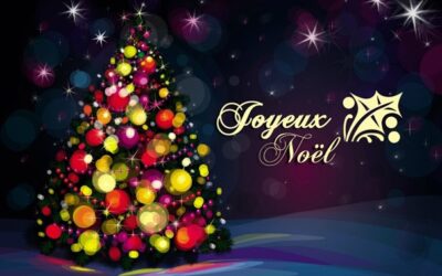 C’EST NOËL AU PORT DE LA ROCHE BERNARD !